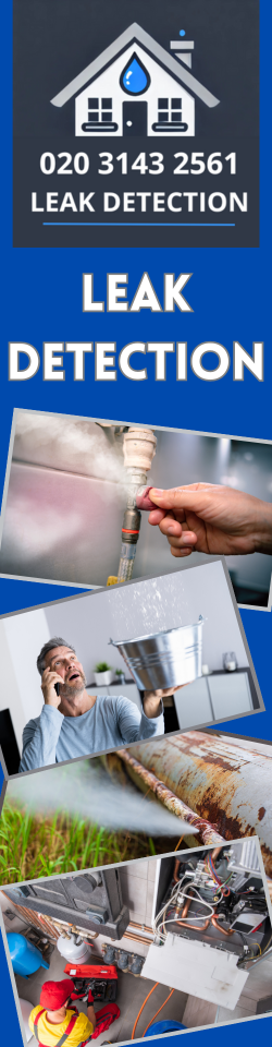 Monument Leak Detection
