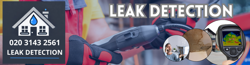 Monument Leak Detection