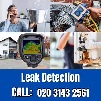 Comprehensive Leak Detection Services in Monument | Monument Leak Detection